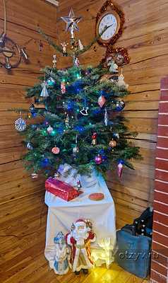 ���������� ��������� � �����������. �����������, ������� � ��� ����� �����