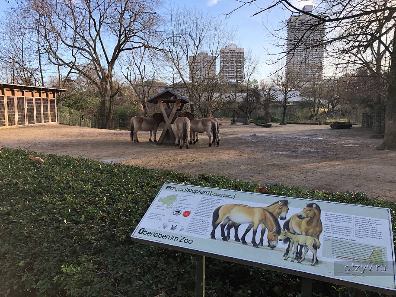 Кельнский зоопарк фото