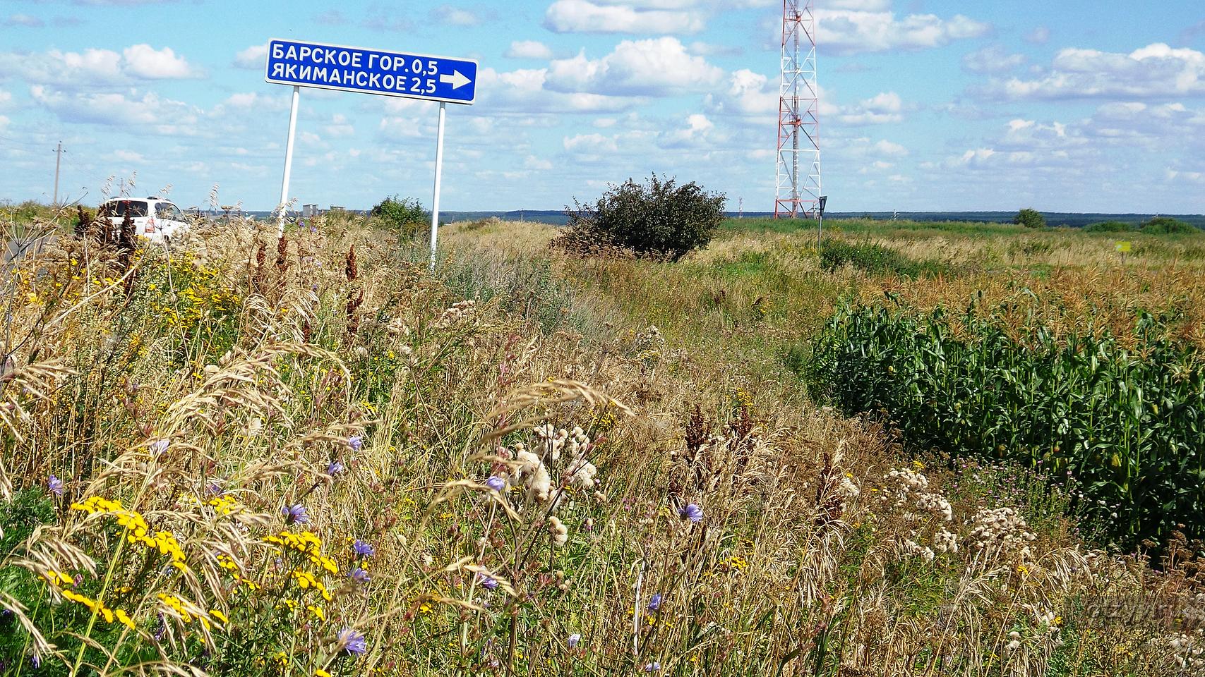 Барское Городище - Якиманское / Владимирская область / Суздальский район /  Россия / Фотоальбом: hillary