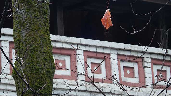 а в донском монастыре слова