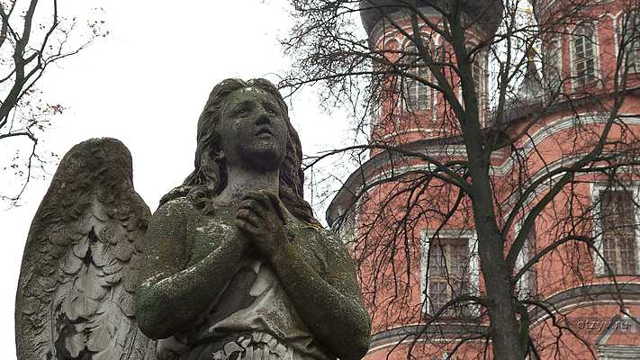 а в донском монастыре слова