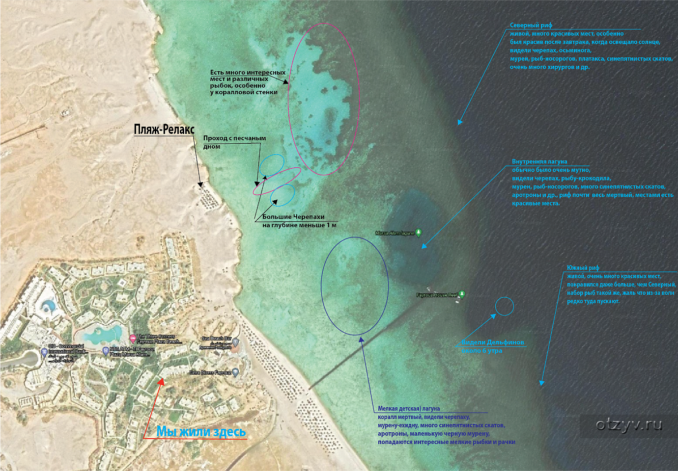 Отели хургады с коралловыми рифами. Марса-Эль-Алам. Марса-Эль-Алам на карте Египта. Эль Кусейр Египет. Бухта Марса мубарак Марса Алам на карте.