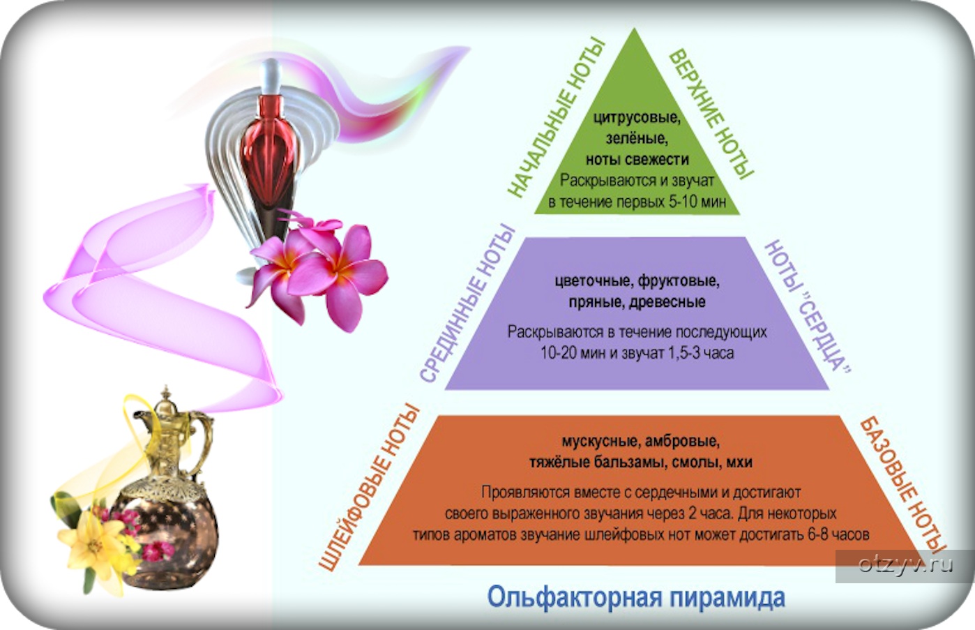 Возбуждающие ароматы духов. Ольфакторная пирамида аромата базовые Ноты. Верхние средние и базовые Ноты аромата что это. Верхние Ноты Ноты сердца базовые Ноты. Ольфакторная пирамида (Верхние Ноты, сердце аромата, базовые Ноты).