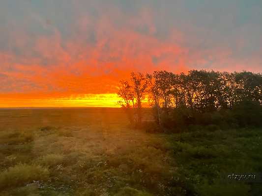 ����������� �� ������������ �� ��������. ����� 4 ������������