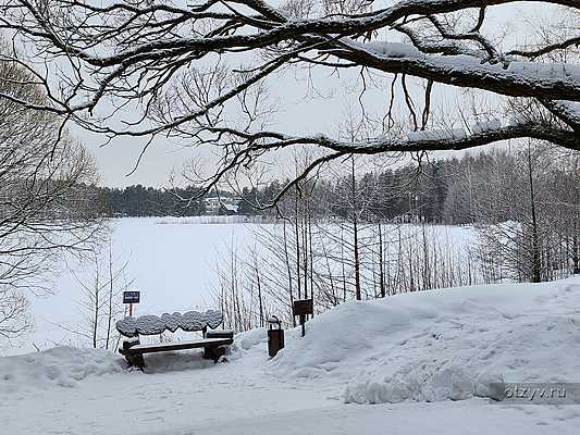 Ногинск шли