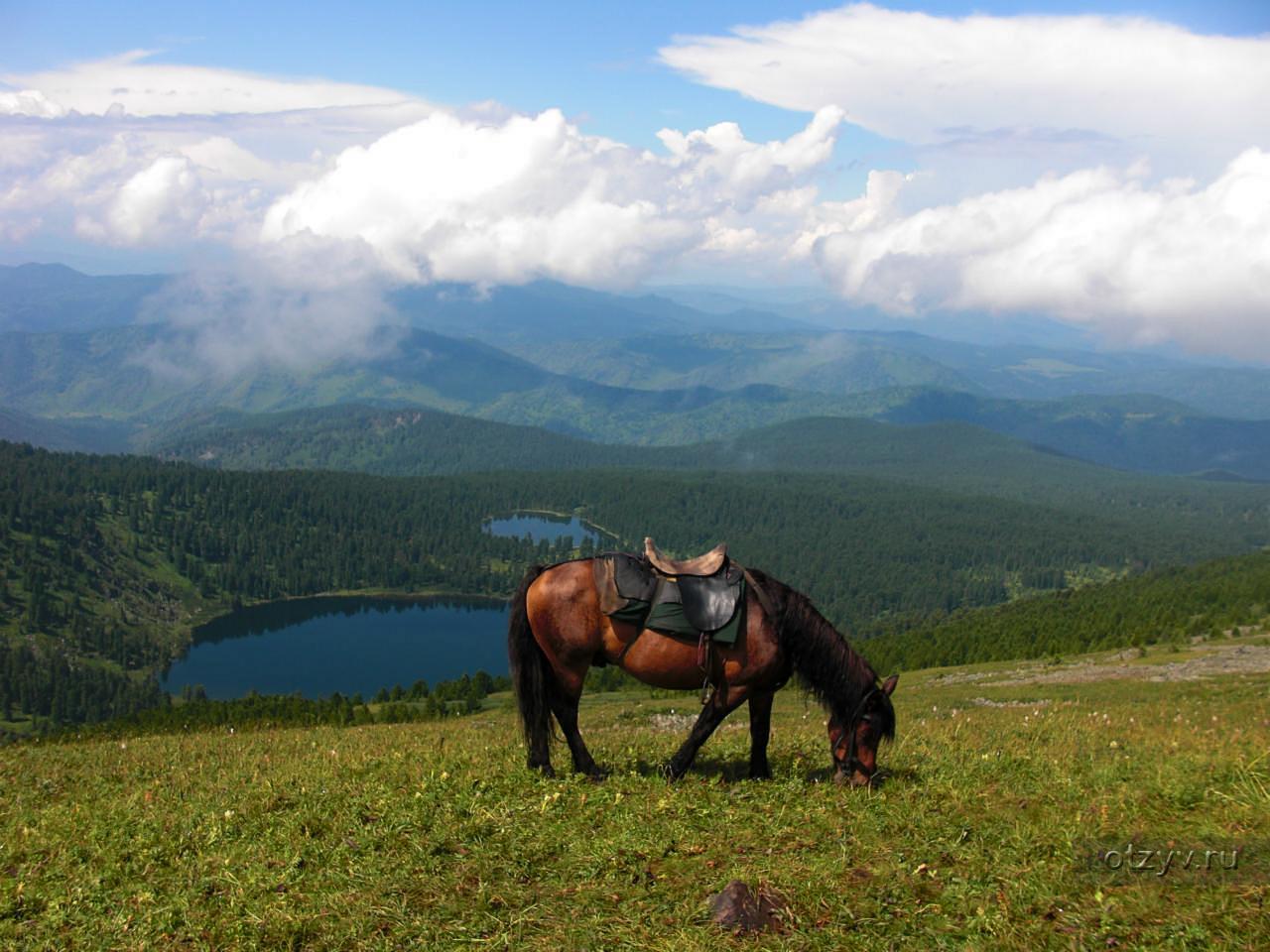 Долина Сартакпая Алтай