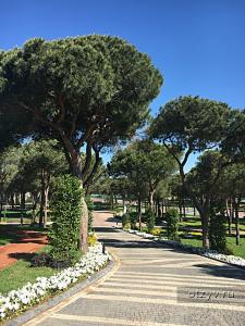 Selectum luxury resort antalya booking