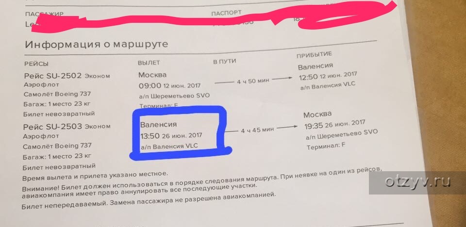 Где в билете указан багаж. Багаж 1км Аэрофлот. Багаж 1км что значит Аэрофлот. 1м багаж в билете на самолет Аэрофлот. Обозначения багажа в Авиабилетах.