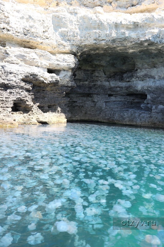 Тарханкут село Оленевка