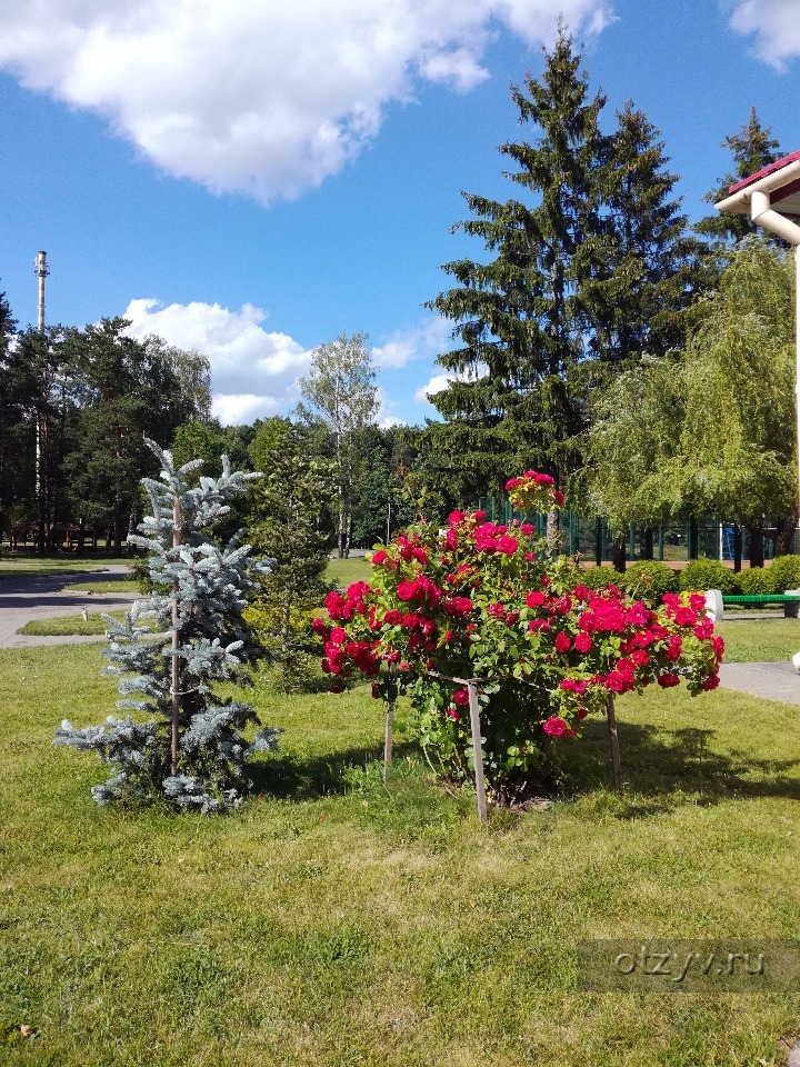 Белая вежа белгородская область. Пляж белая Вежа Алексеевка. Белая Вежа Бирюч. Белая Вежа Белгородская область санаторий. Пляж летний белая Вежа Алексеевка.