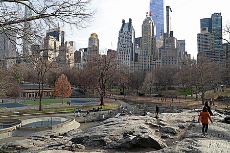 Gay central park ny nt