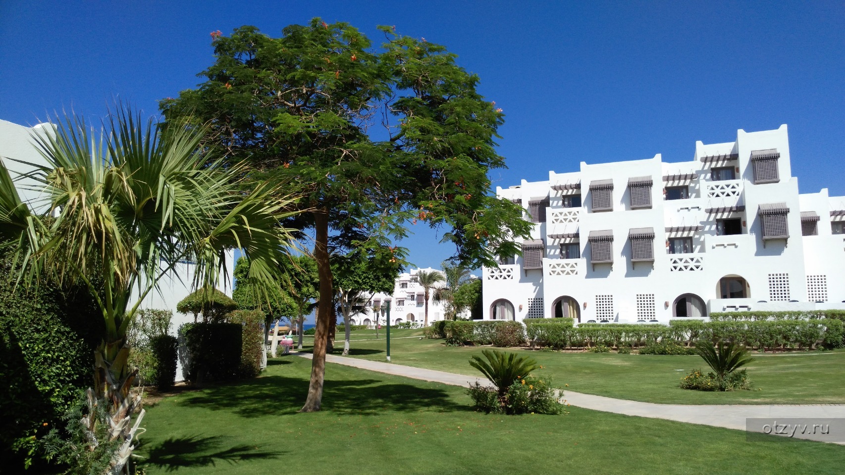 египет mercure hurghada