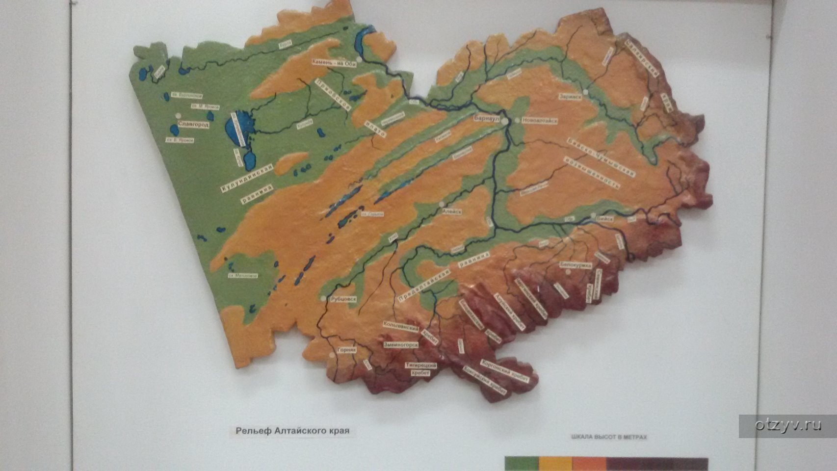 Рельеф алтайского края карта