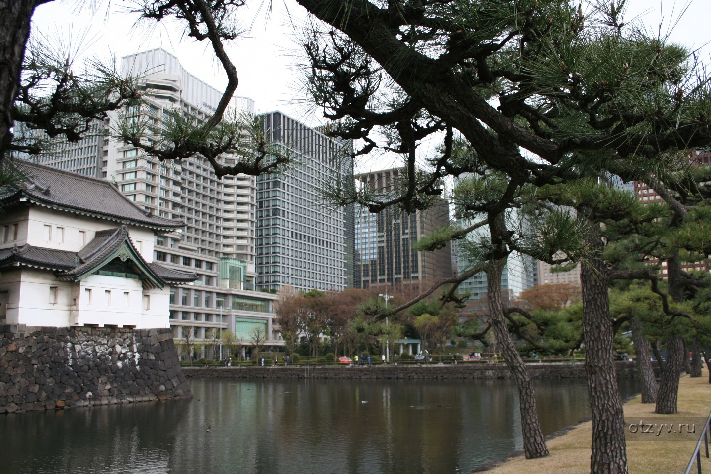 Tokyo kyoto. Храм дзодзё-дзи Токио. Киотский исследовательский парк в Киото. Киото Осака. Улица монстров Киото.