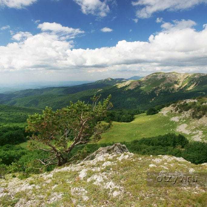 Крымский заповедник. Крымский природный заповедник. Заповедник национальный парк Крымский. Национальный парк Алушта. Крымский природный заповедник Алушта.