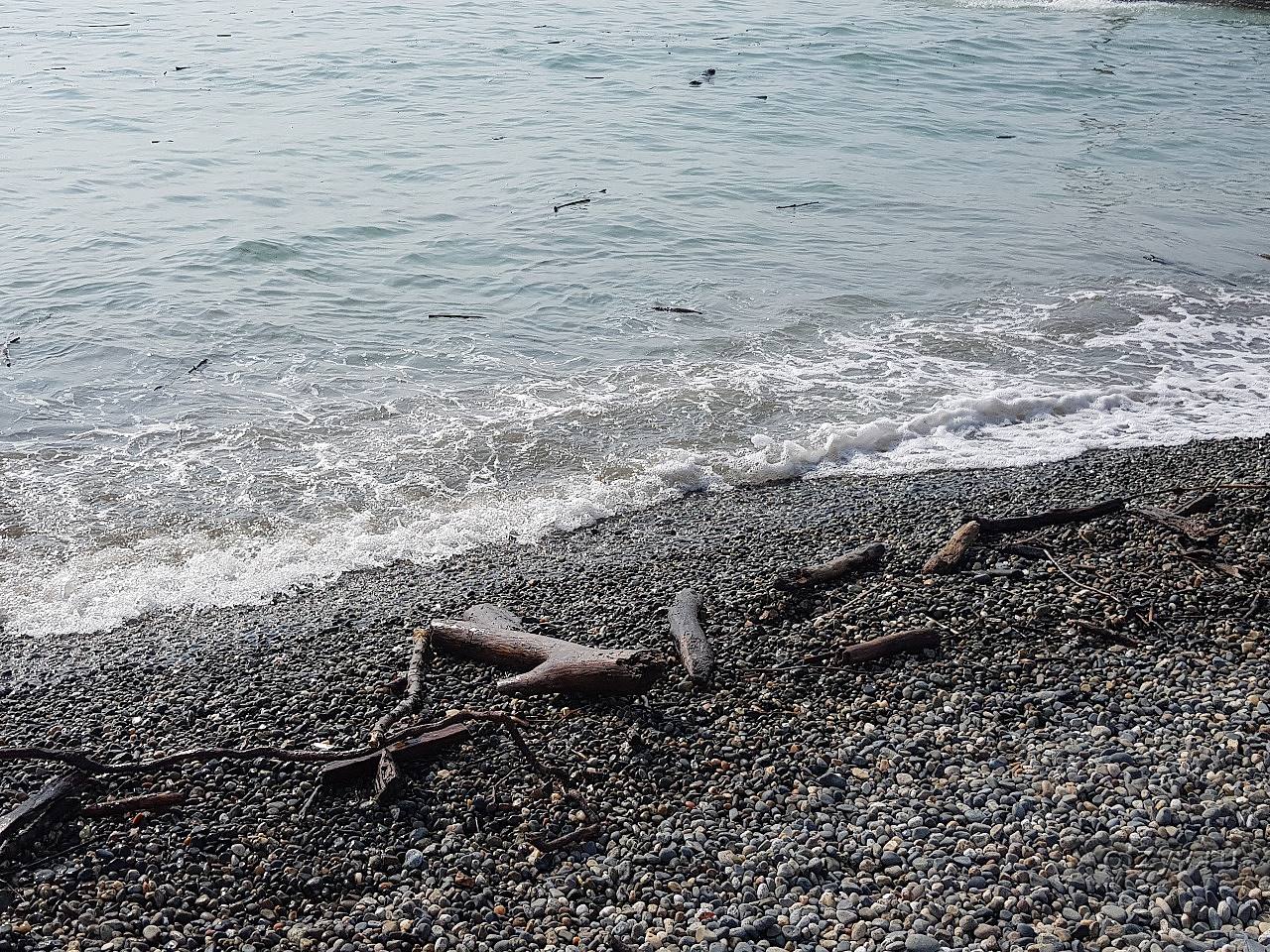 мёртвое море израиль купание. море люди с чемоданом. фото в. мертвое море (dead sea) лот. почему море солёное?.