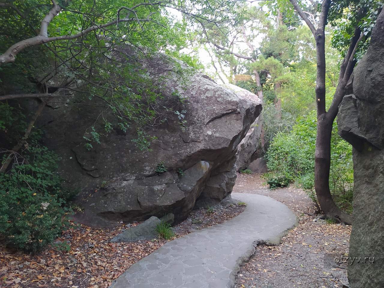 Алупка Парк Фото