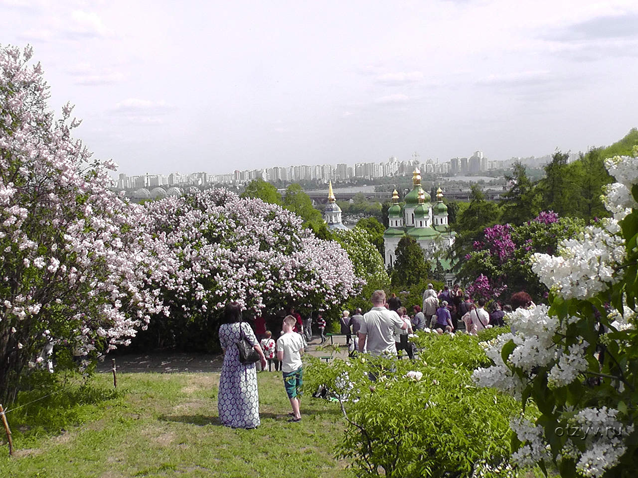 Сад Киев
