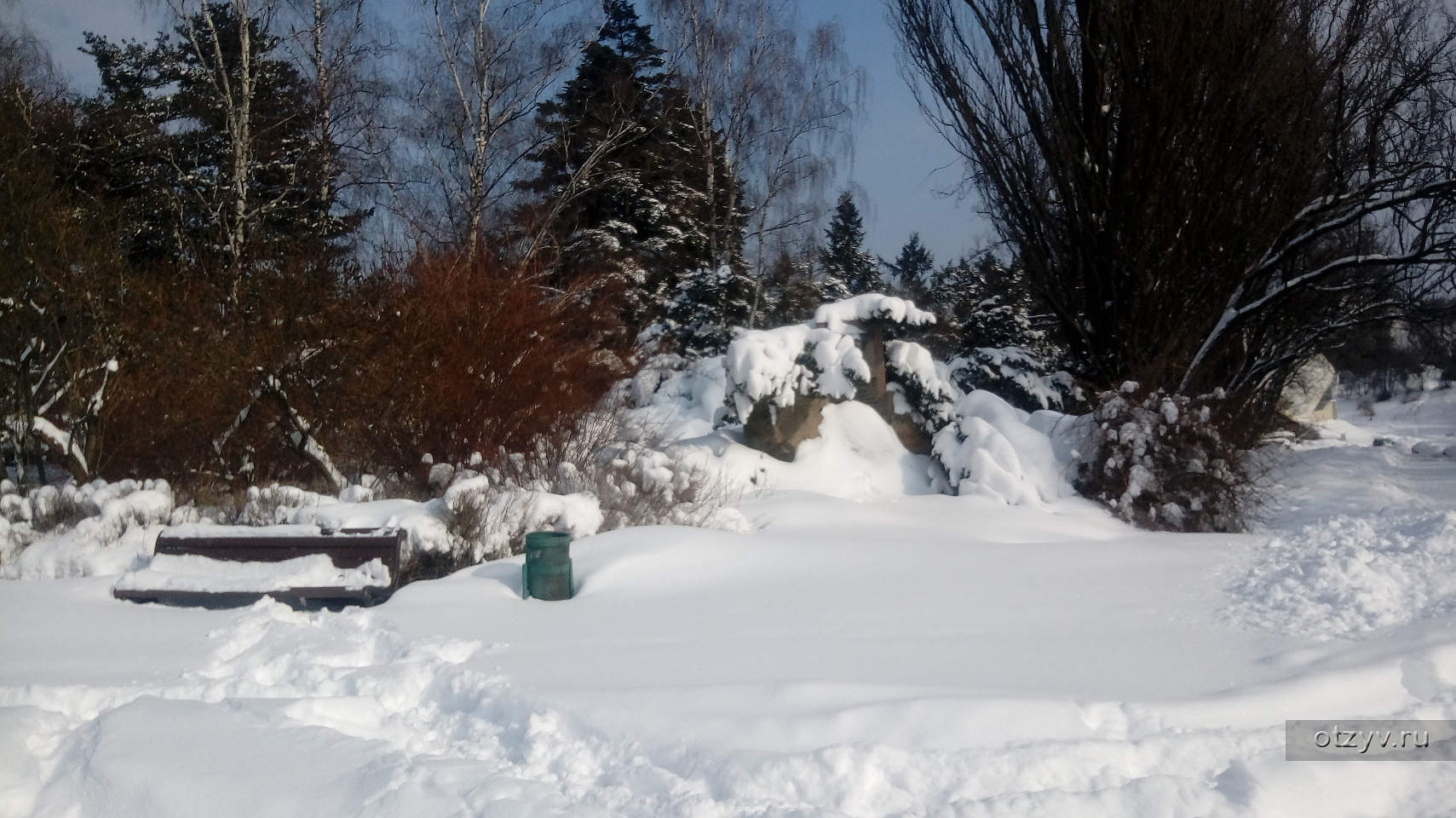 Ботанический сад, Киев. Зима — рассказ от 03.12.20