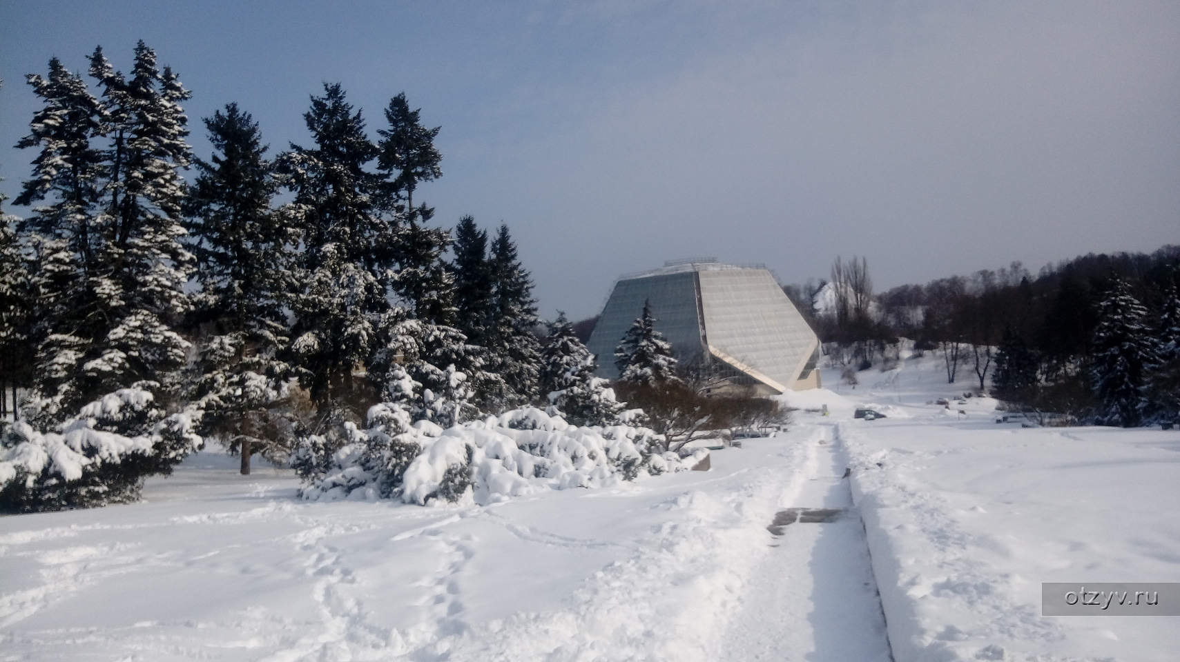 Ботанический сад, Киев. Зима — рассказ от 03.12.20