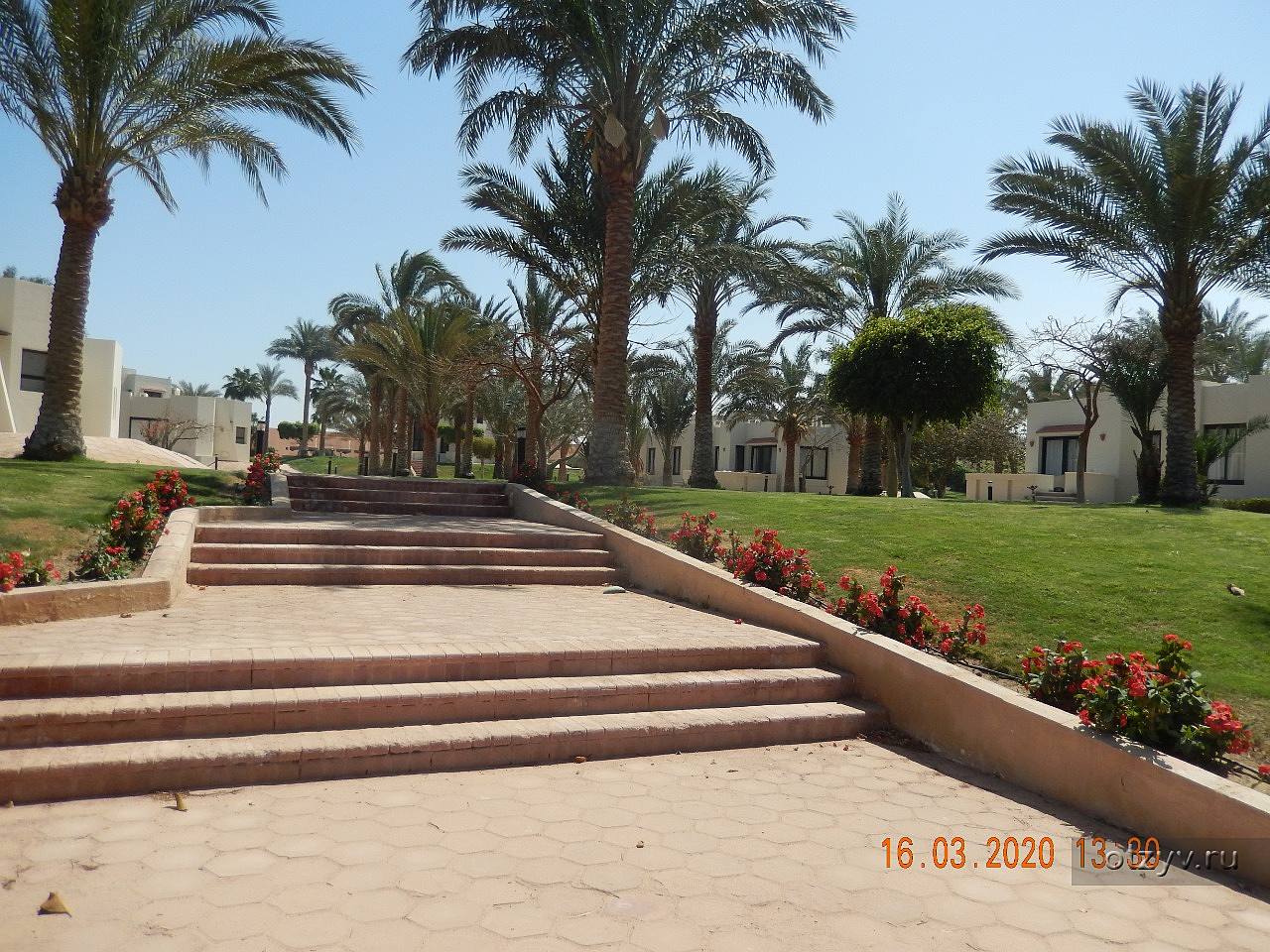 Pharaoh azur resort отзывы