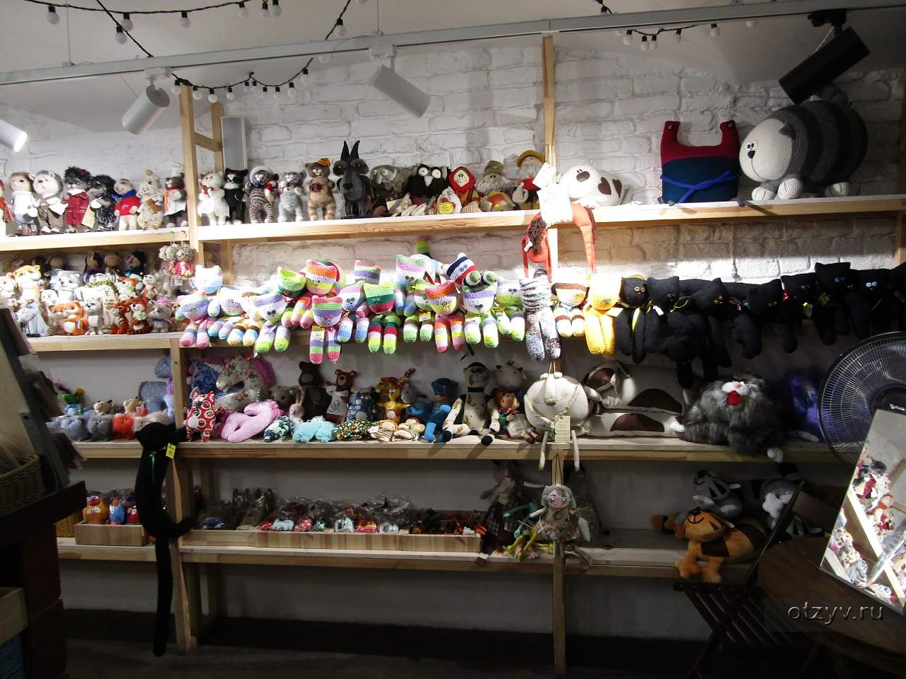 магазин кошек спб. магазин кошек спб. котокафе республика кошек якубовича. республика кошек спб. магазин кошек спб.