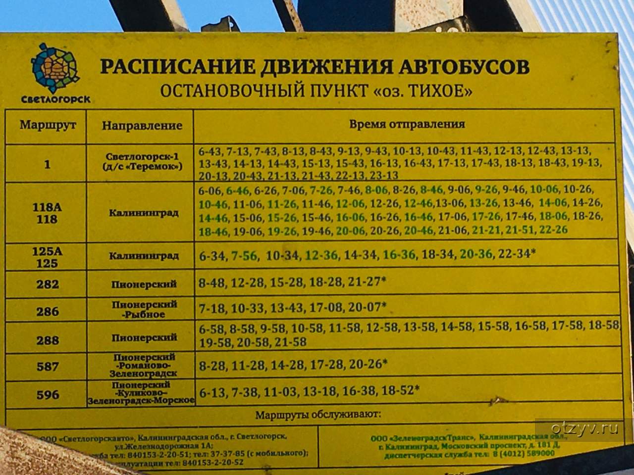 Автобус светлогорск балтийск расписание из светлогорска. Расписание автобусов Светлогорск Янтарный. Автобус Светлогорск Пионерский. Автобус Светлогорск Янтарный. Расписание автобусов Светлогорск Пионерский.