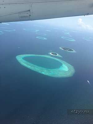  , South Palm Resort Maldives 4*