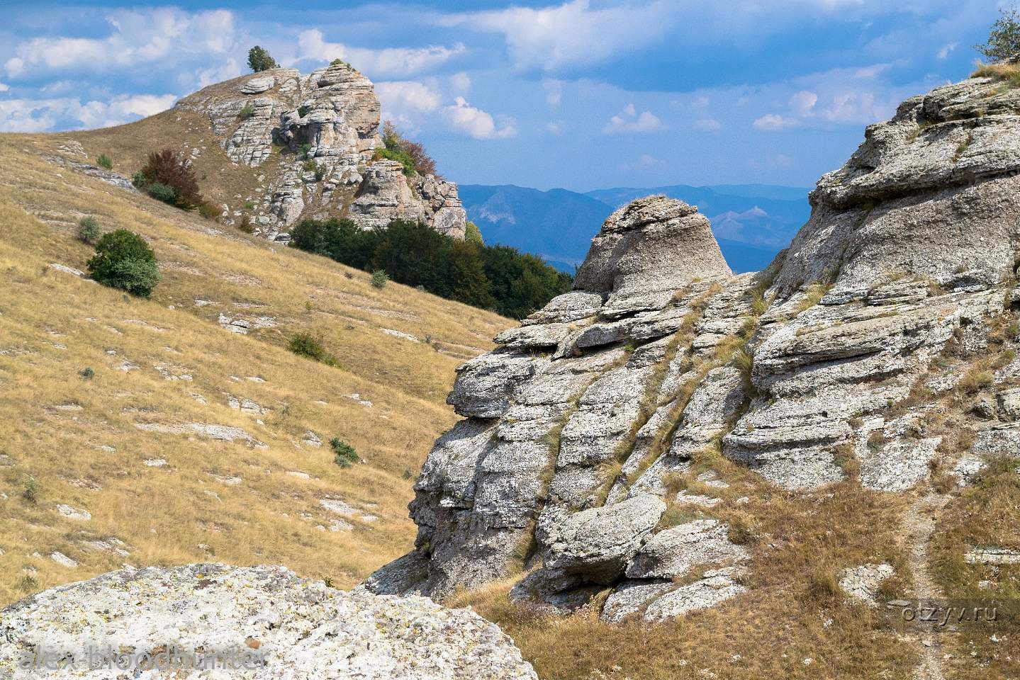 Лучистое Крым Фото