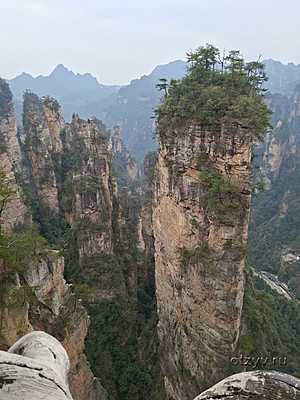 ���������� - ���� - �������