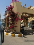Albatros Garden Resort ����