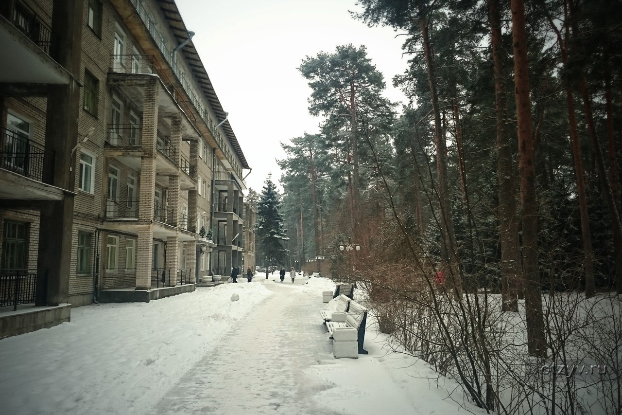 санаторий сестрорецкий курорт в ленинградской области