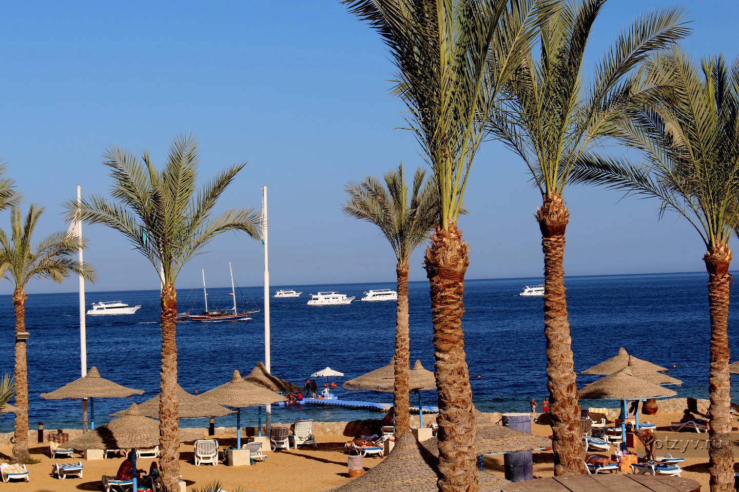 Queen sharm resort beach 4 египет шарм эль шейх отель