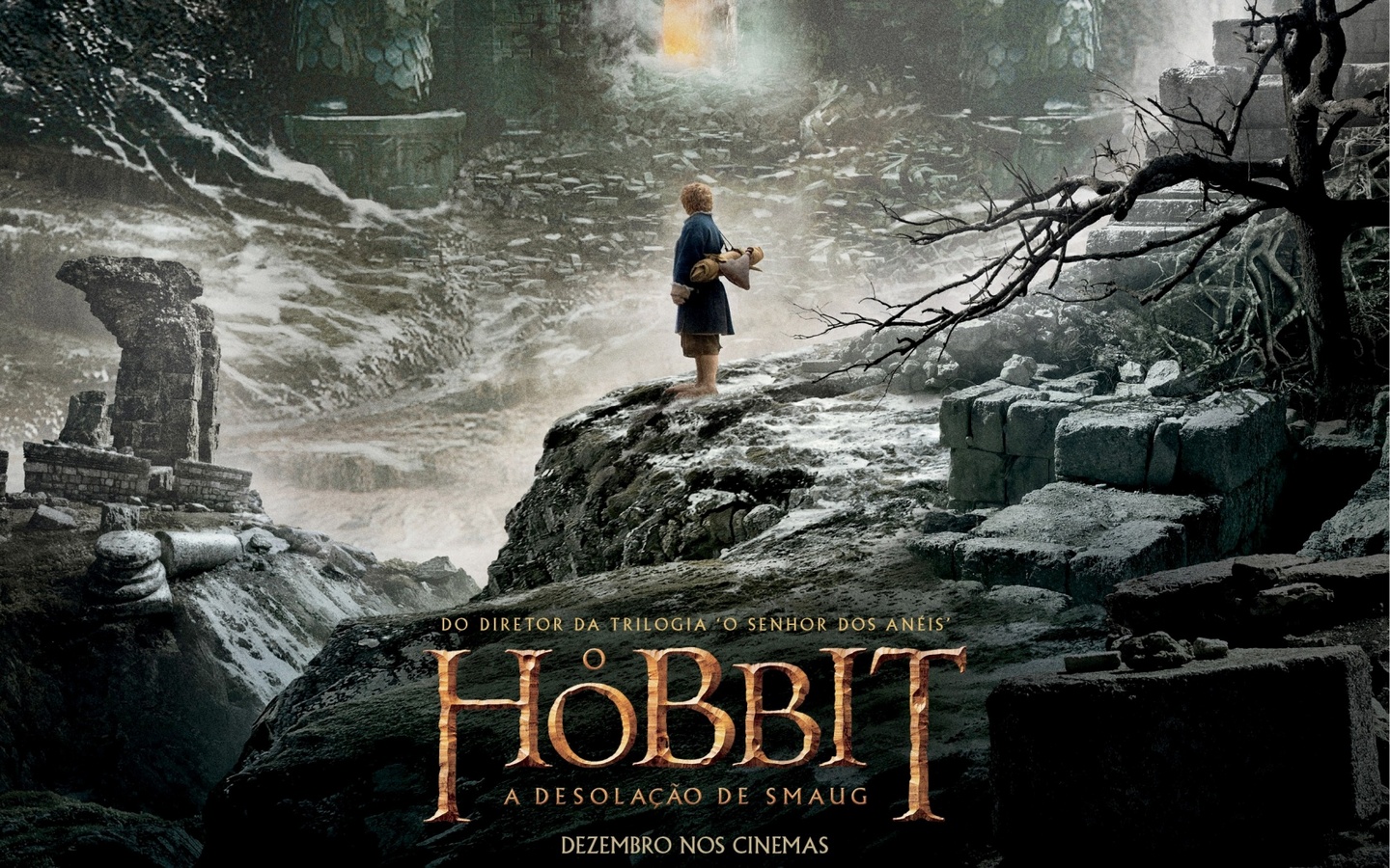 The Hobbit the Desolation of Smaug 2013 poster