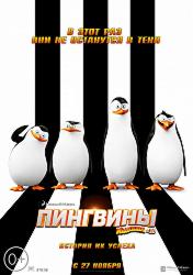 Пингвины Мадагаскара