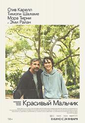 Красивый мальчик