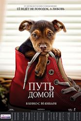 Путь домой