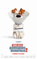 Тайная жизнь домашних животных 2 (2019)