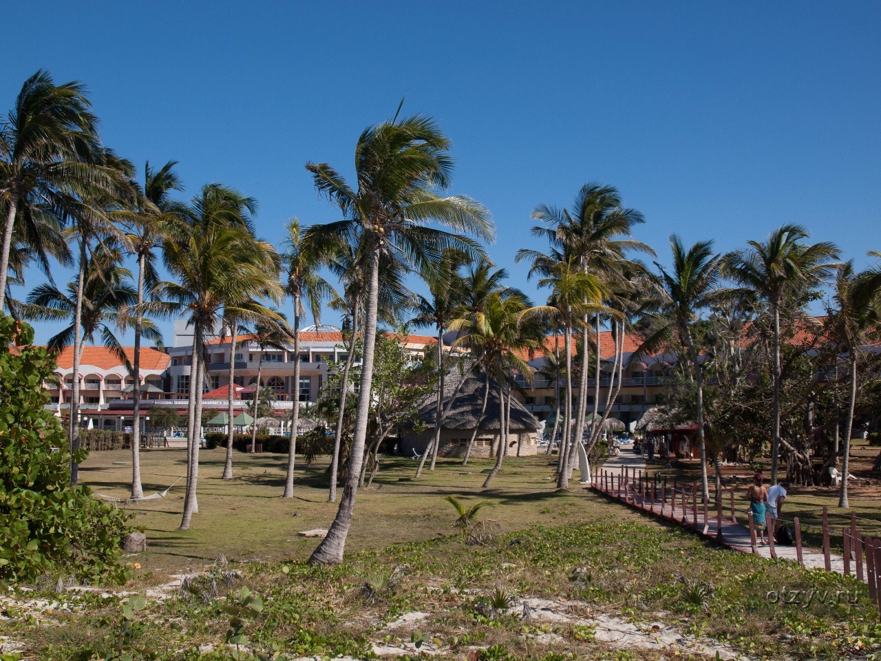 Cubanacan brisas del caribe. Brisas del Caribe 4 Варадеро. Куба отель Кубанакан Бризас дель Карибе. Бризас дель Карибе 4. Brisas del Caribe 4 Варадеро Пеликаны.