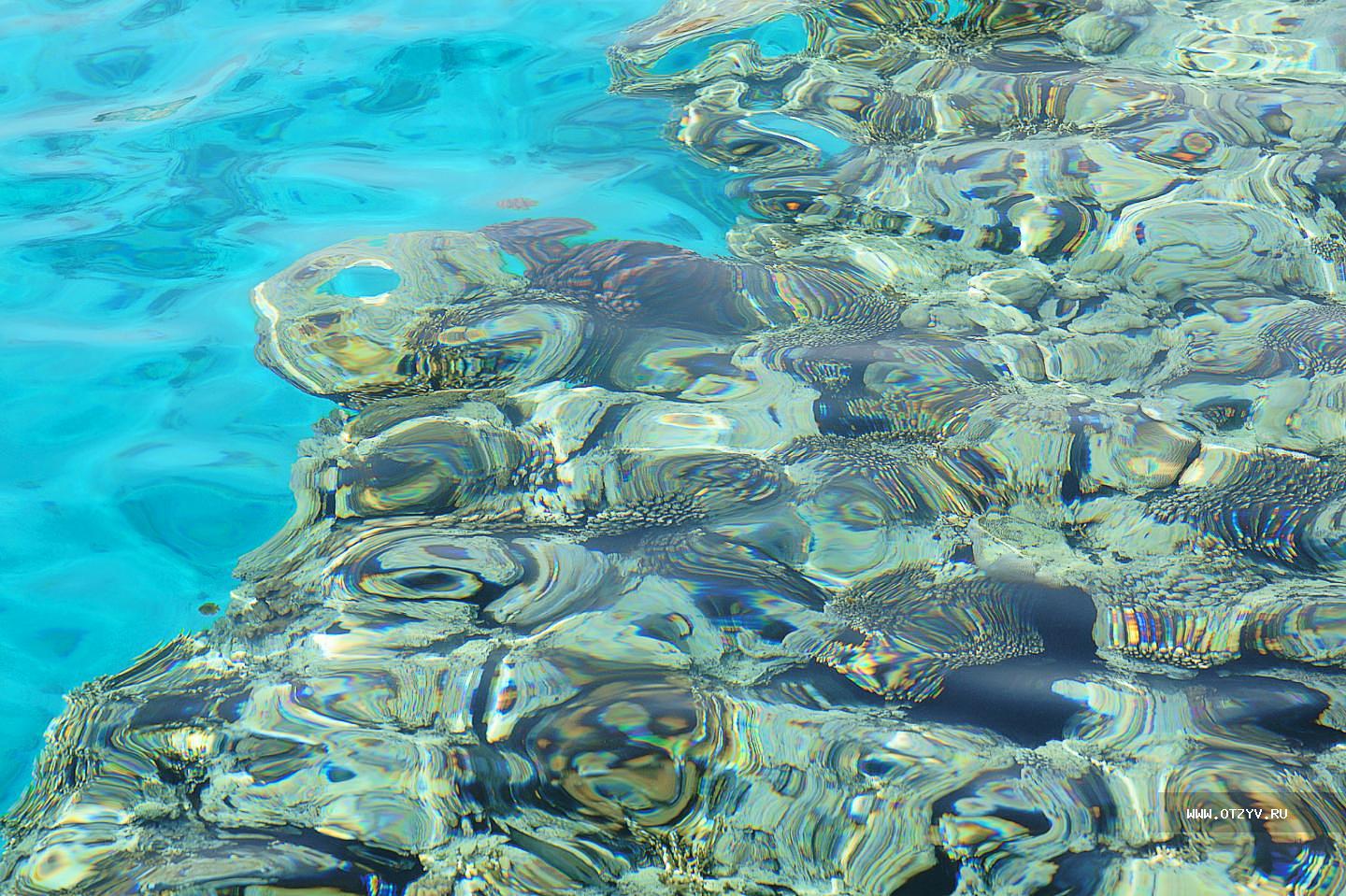 Sentido Reef Oasis Senses Resort