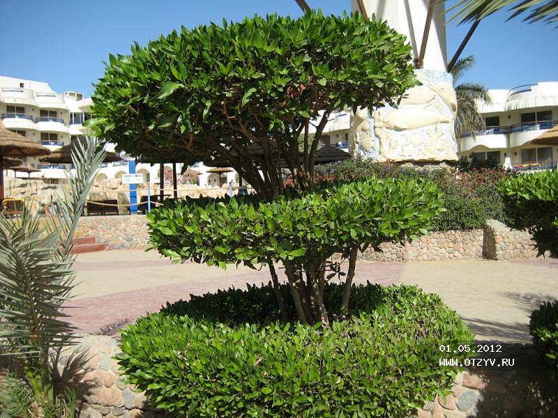Sea Gull Beach Resort & Club