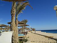 Albatros Garden Resort ����