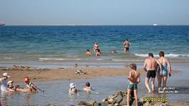 Albatros Garden Resort ����