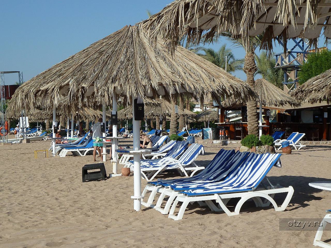 Отель sharm dreams resort