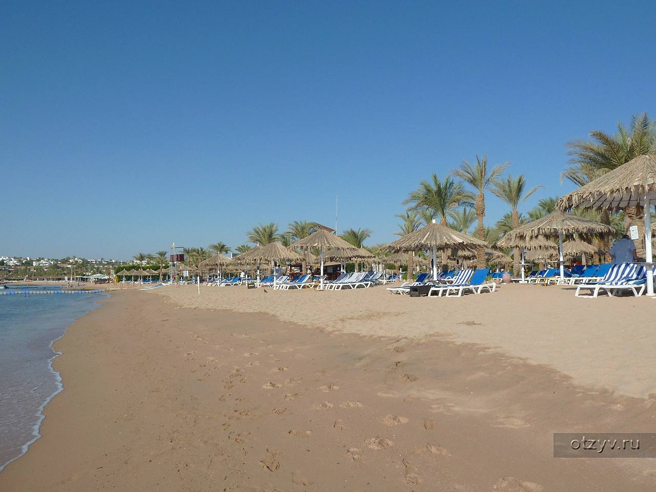 Отель sharm dreams resort