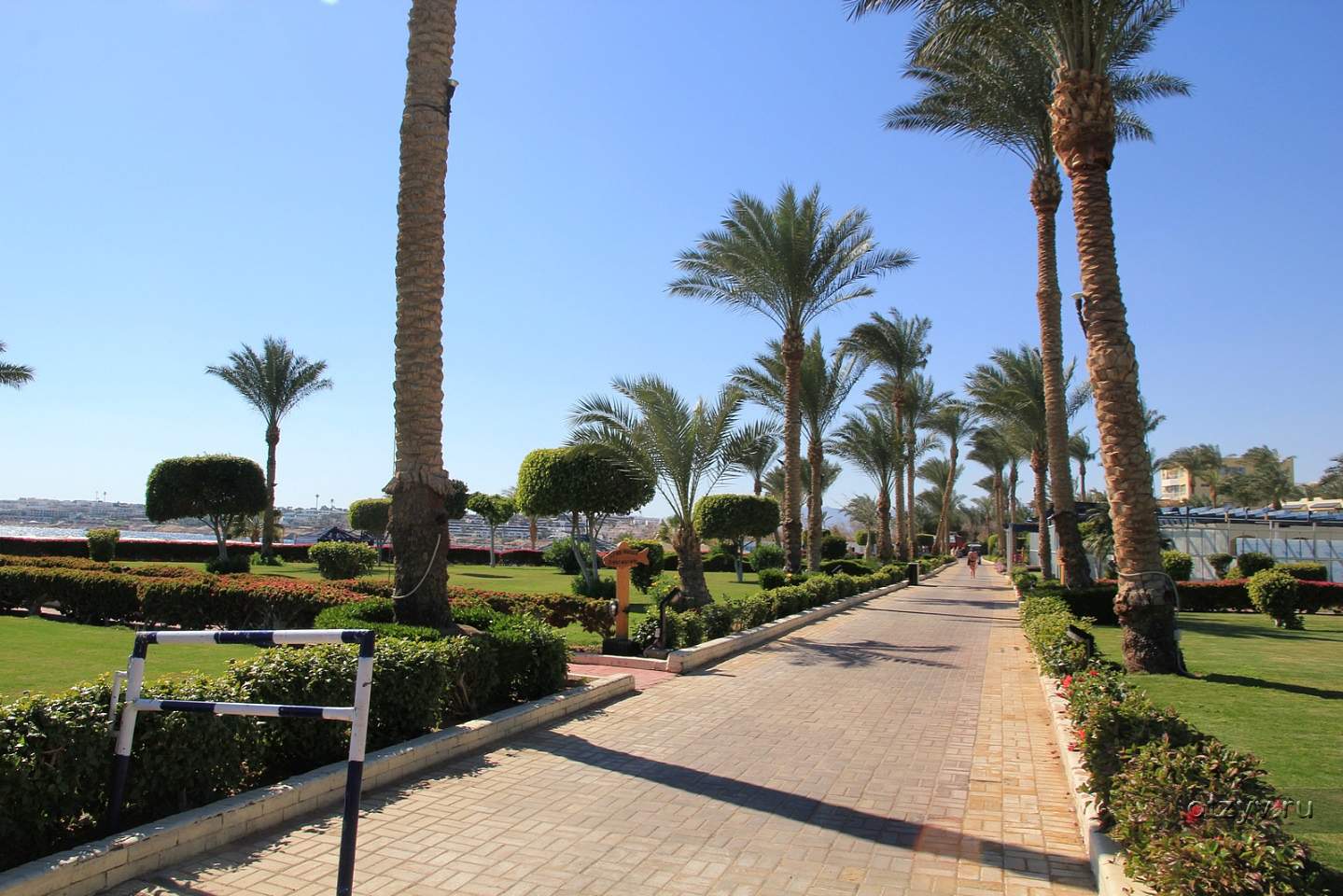 Grand Oasis Resort