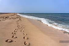Melia Tortuga Beach 