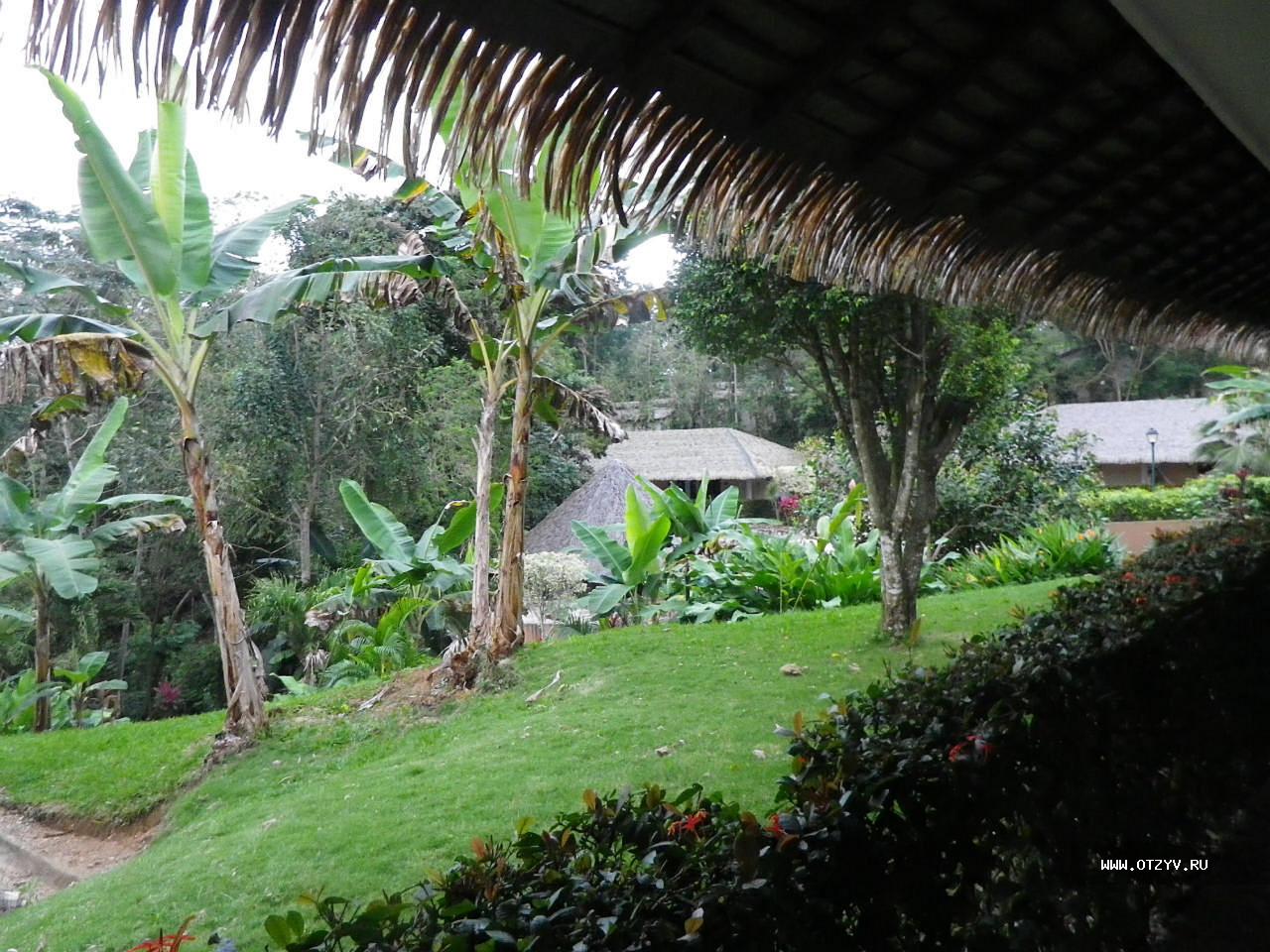 Villa Mercedes Palenque