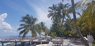 Vilamendhoo Island Resort 