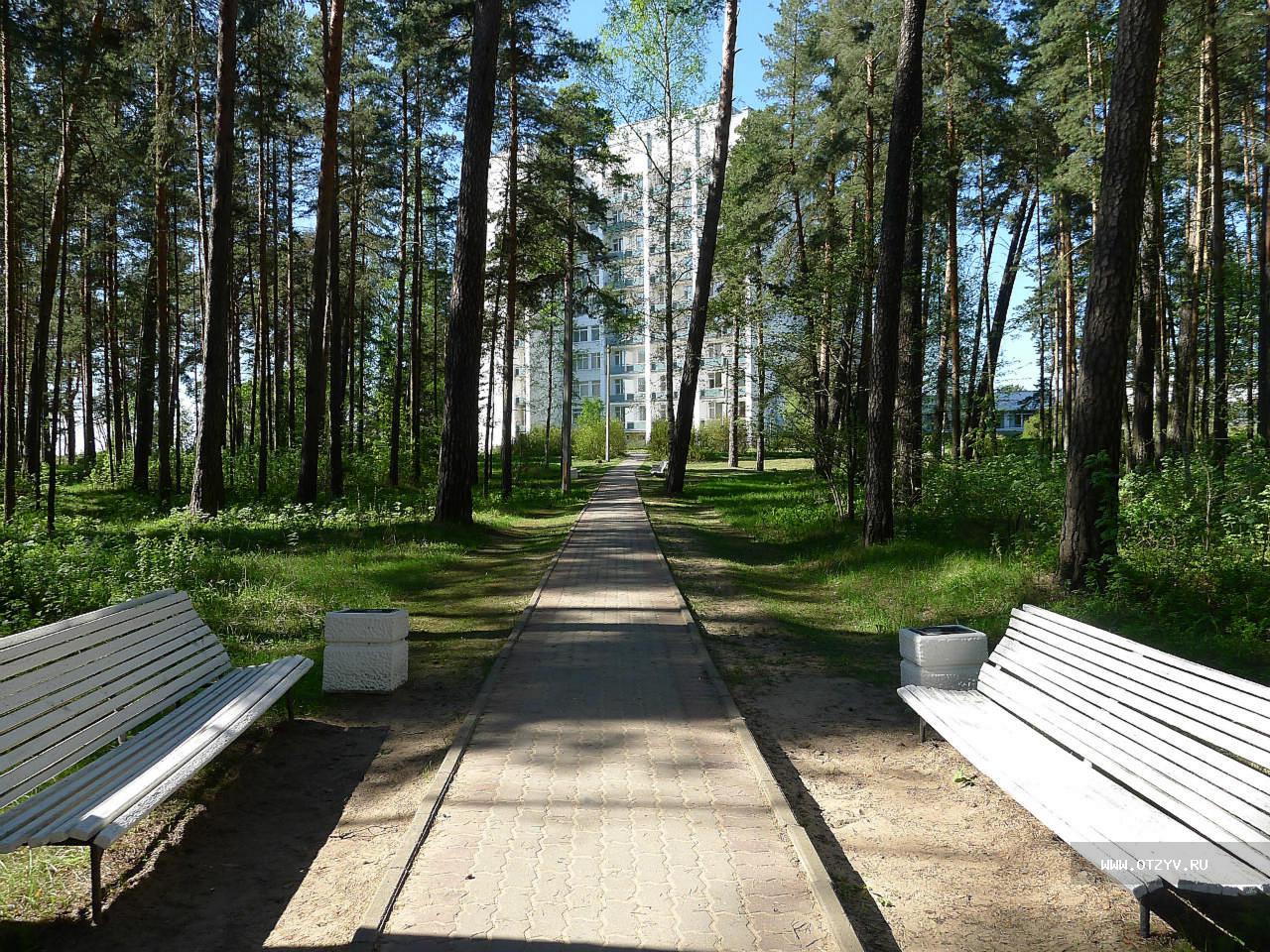 санаторий сестрорецкий курорт в ленинградской области